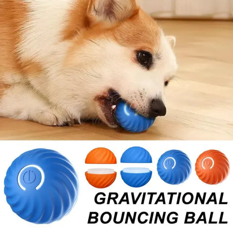 NPNGonline™ Smart Dog Ball Toy