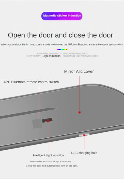 NPNGonline™ Customized Logo Car door Sill light