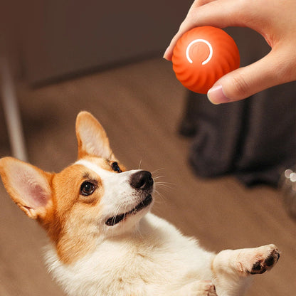 NPNGonline™ Smart Dog Ball Toy