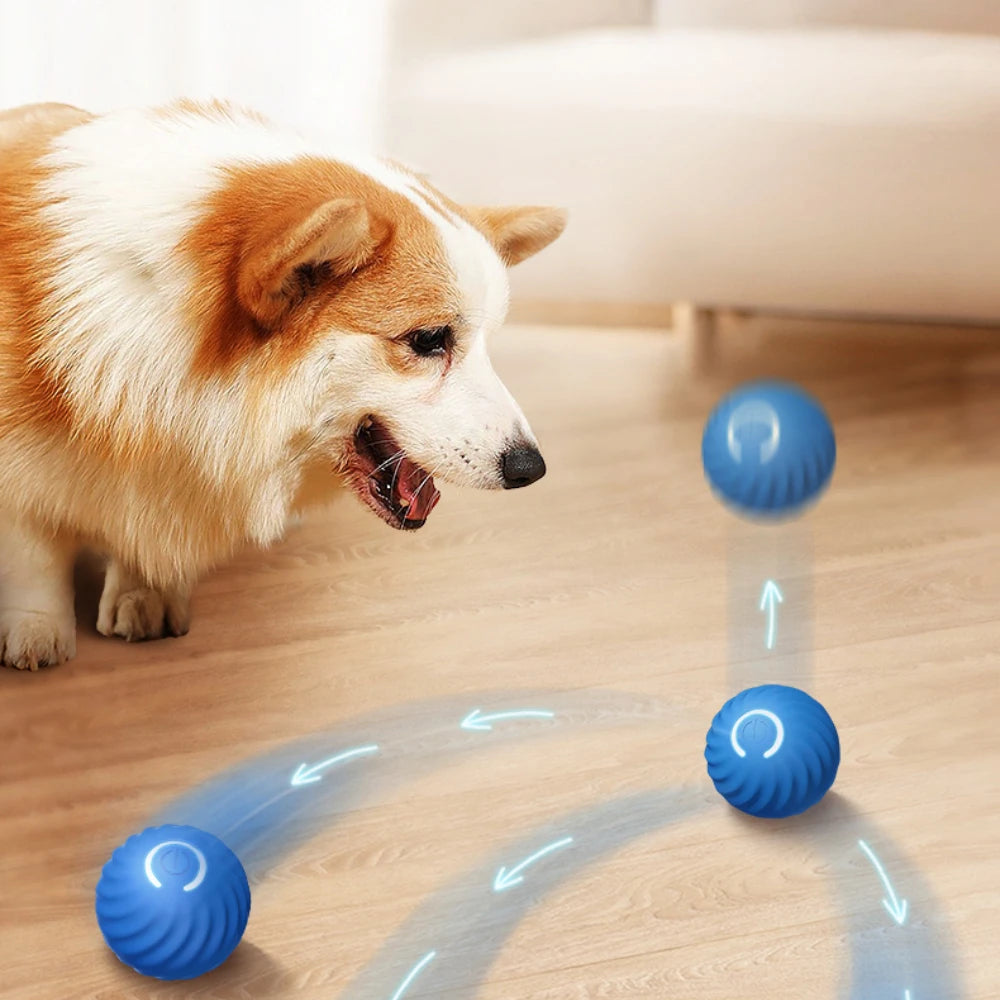 NPNGonline™ Smart Dog Ball Toy