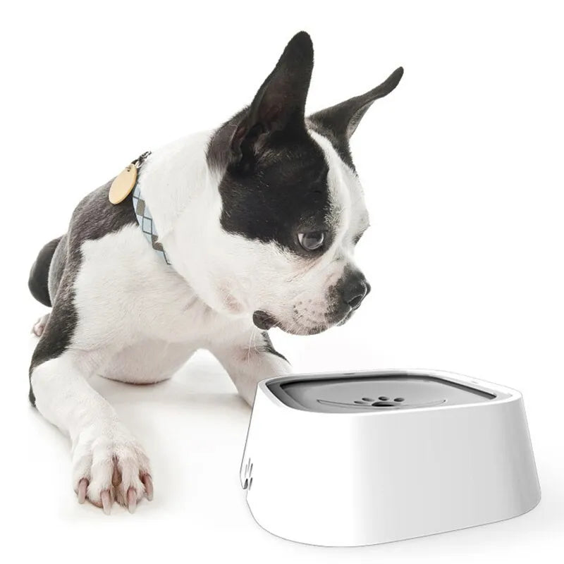 NPNGonline™ Dog Drinking Water Bowl